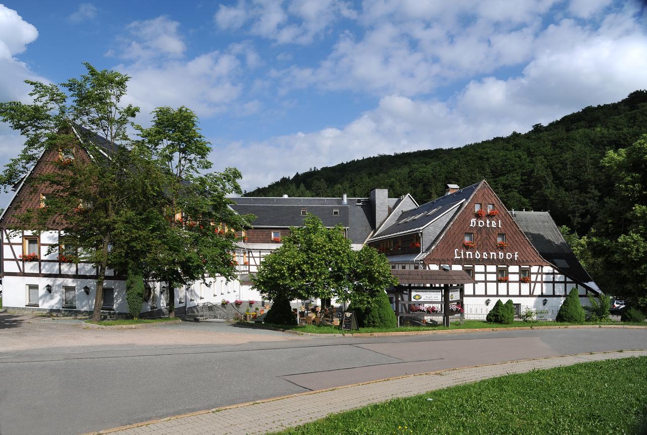 Naturhotel Lindenhof Rechenberg-Bienenmühle エクステリア 写真